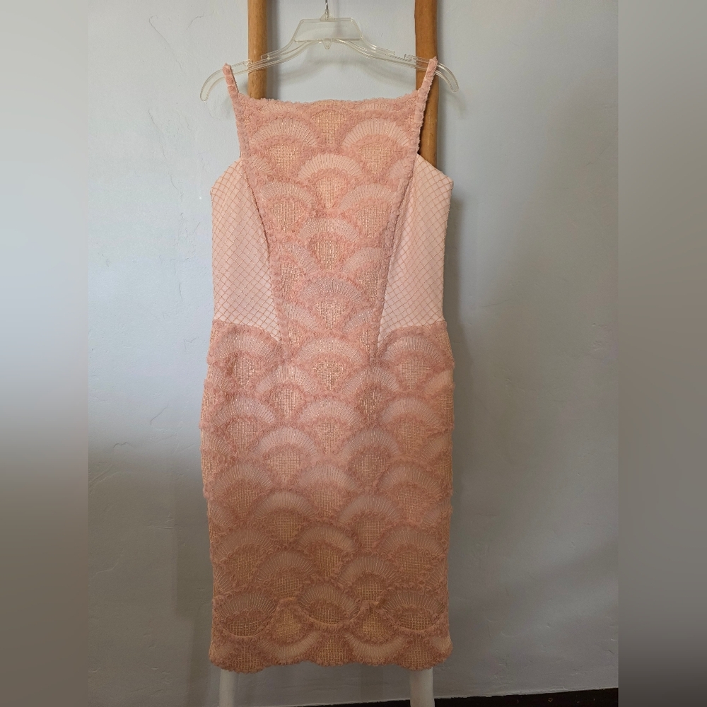 Tadashi Shoji Blush Lace Midi Dress